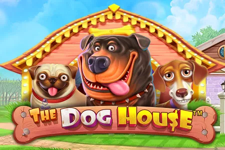 the dog house